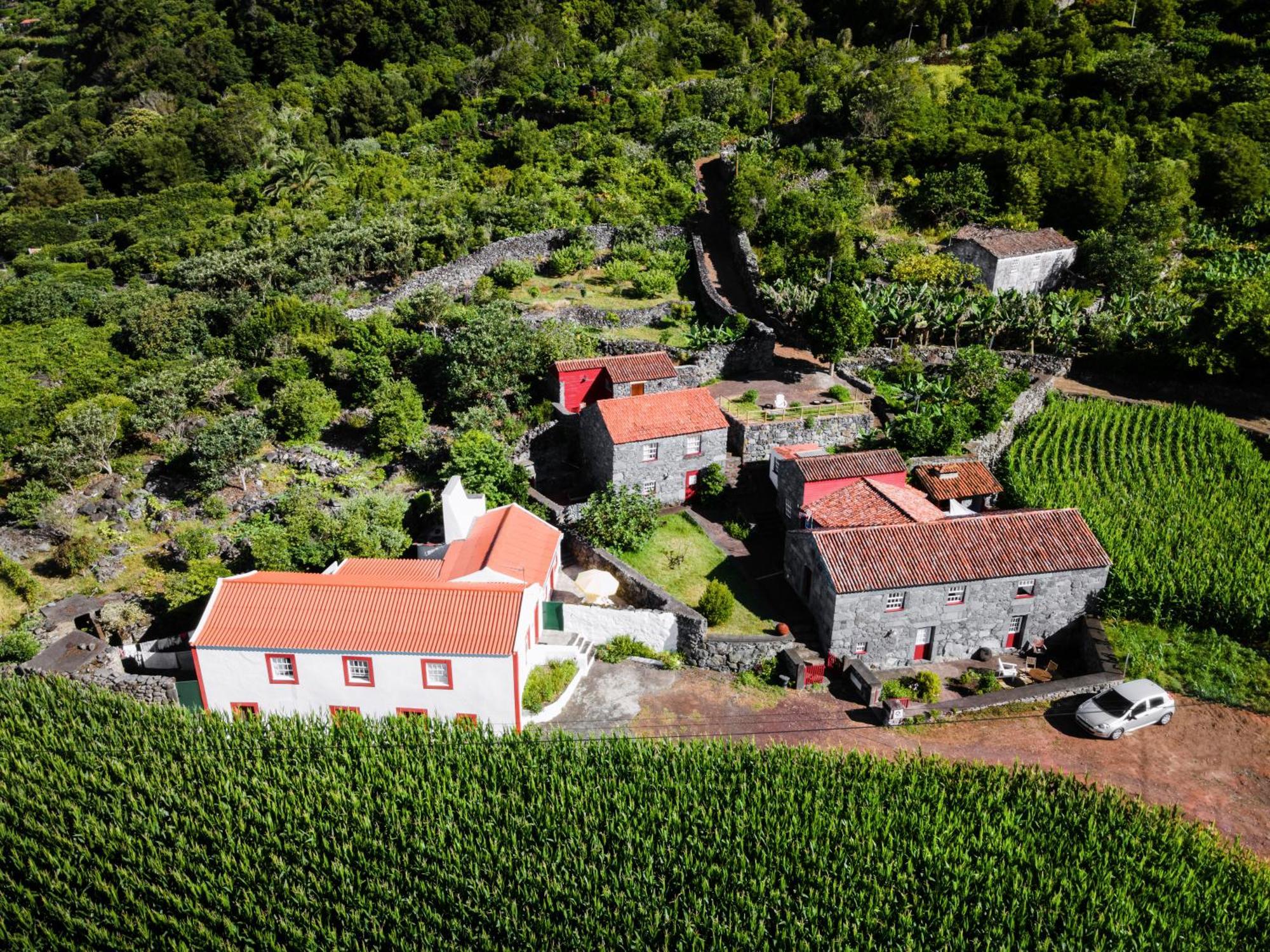 Villa Casas Dos Vimes Faja dos Vimes Exterior foto